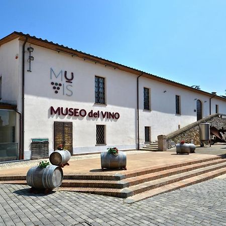 Edy House Apartment Castiglione In Teverina Екстериор снимка